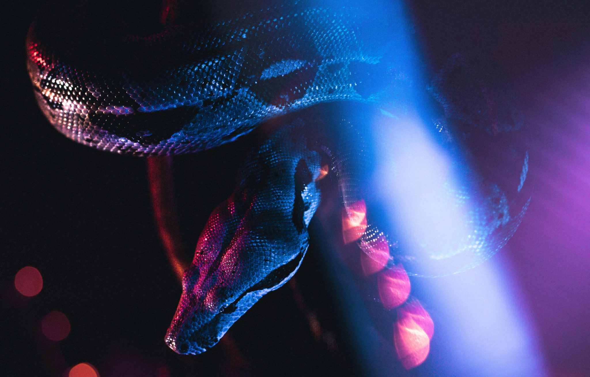 Blog – Snake Malware