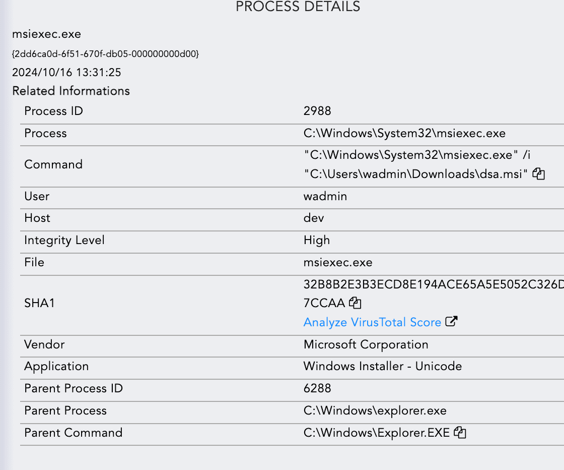 Lactrodectus-Image-15